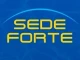 Logo de Sede Forte Instalação e Manutenção Elétrica